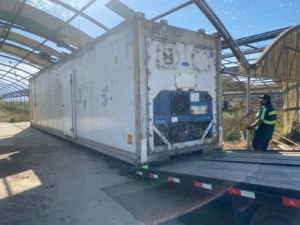 Used 40ft Refrigerated Shipping Container