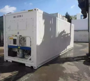30ft Customized Mobile Reefer Container